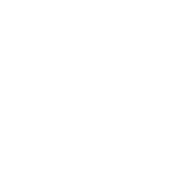 Picturelock Logo